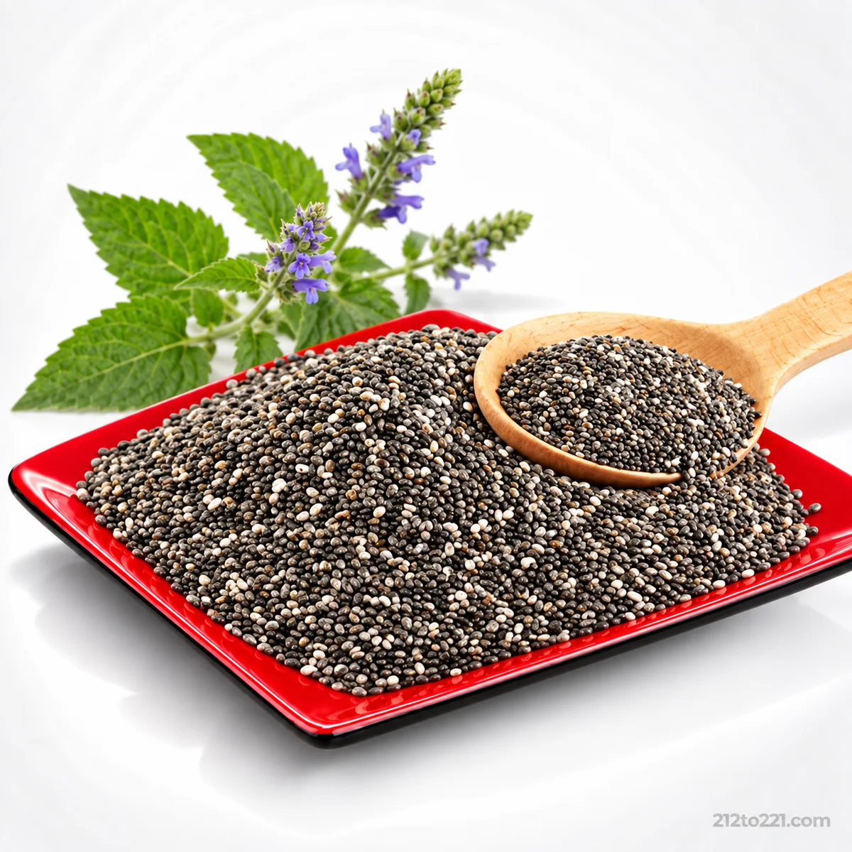 Graines de chia